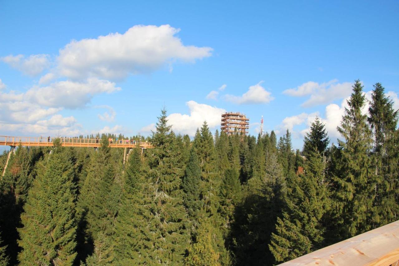 Holiday House Daniela Ждяр Екстер'єр фото